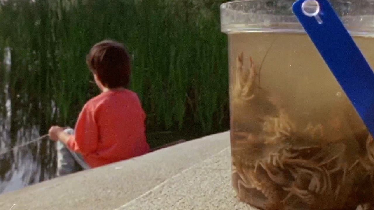 Reflections of a Filmmaker: Exploring the Impact of the Camera
