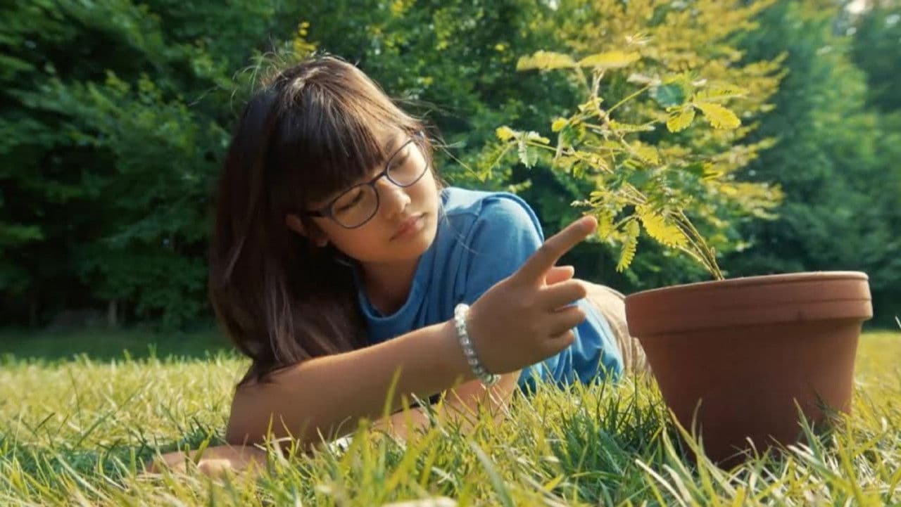 Mabel Movie Release Date Announced