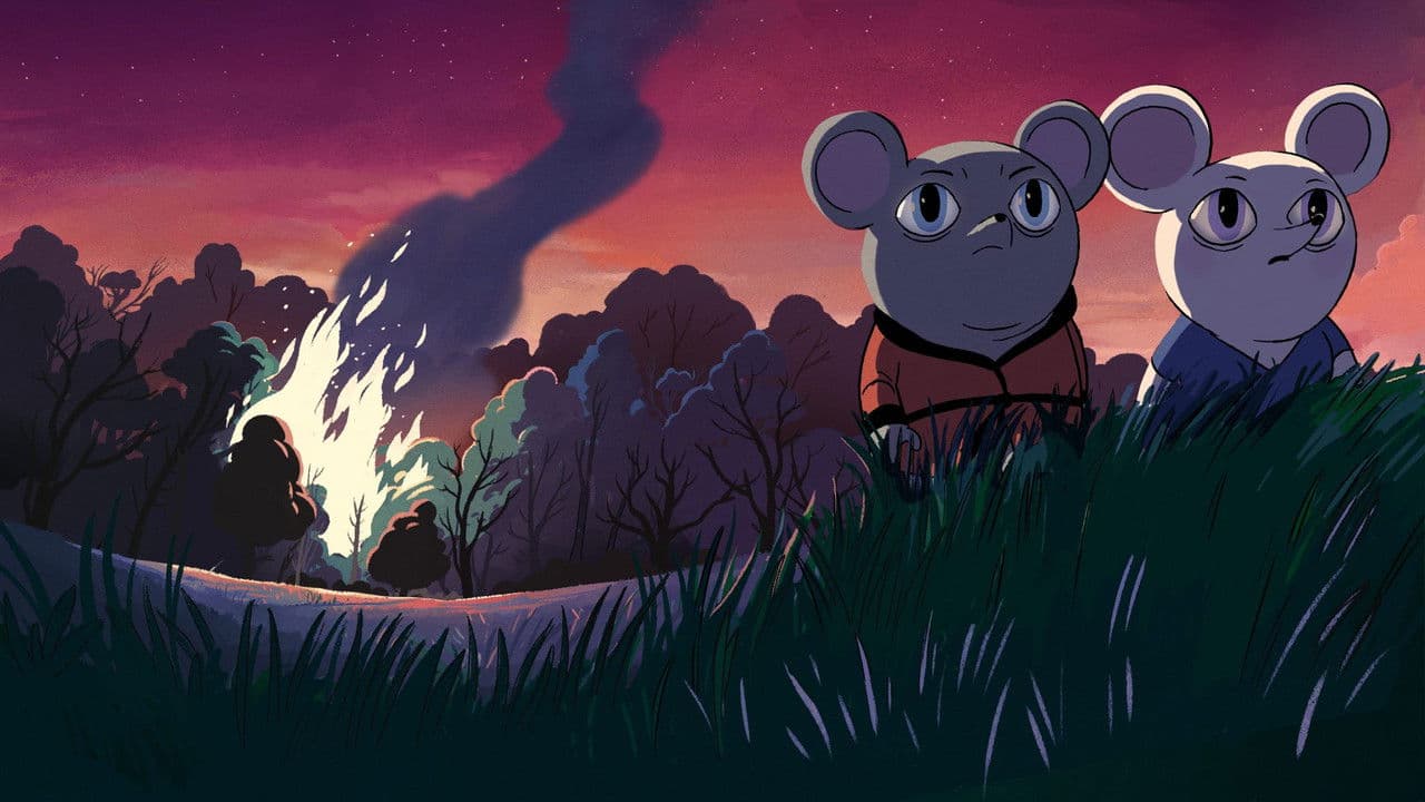 Decorado: Uncovering the Truth