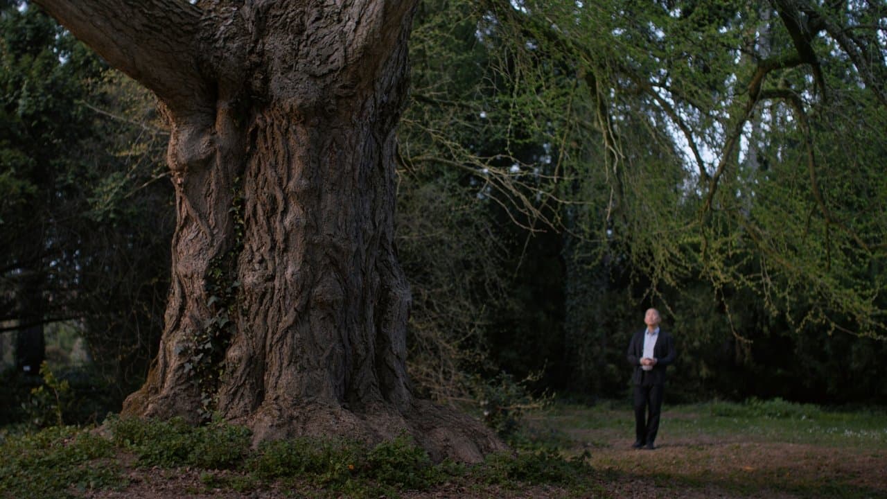 Silent Friend: A Story of Resilience