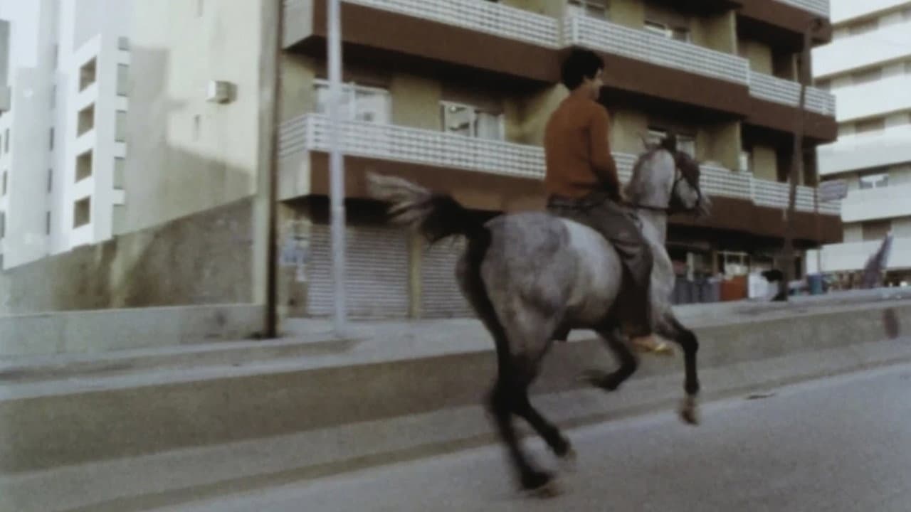 Do You Love Me: A Journey Through Lebanon's Audiovisual Memory