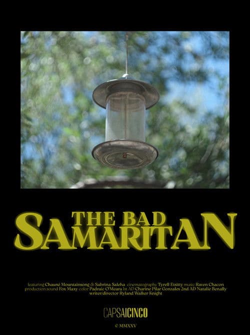 The Bad Samaritan Movie Review