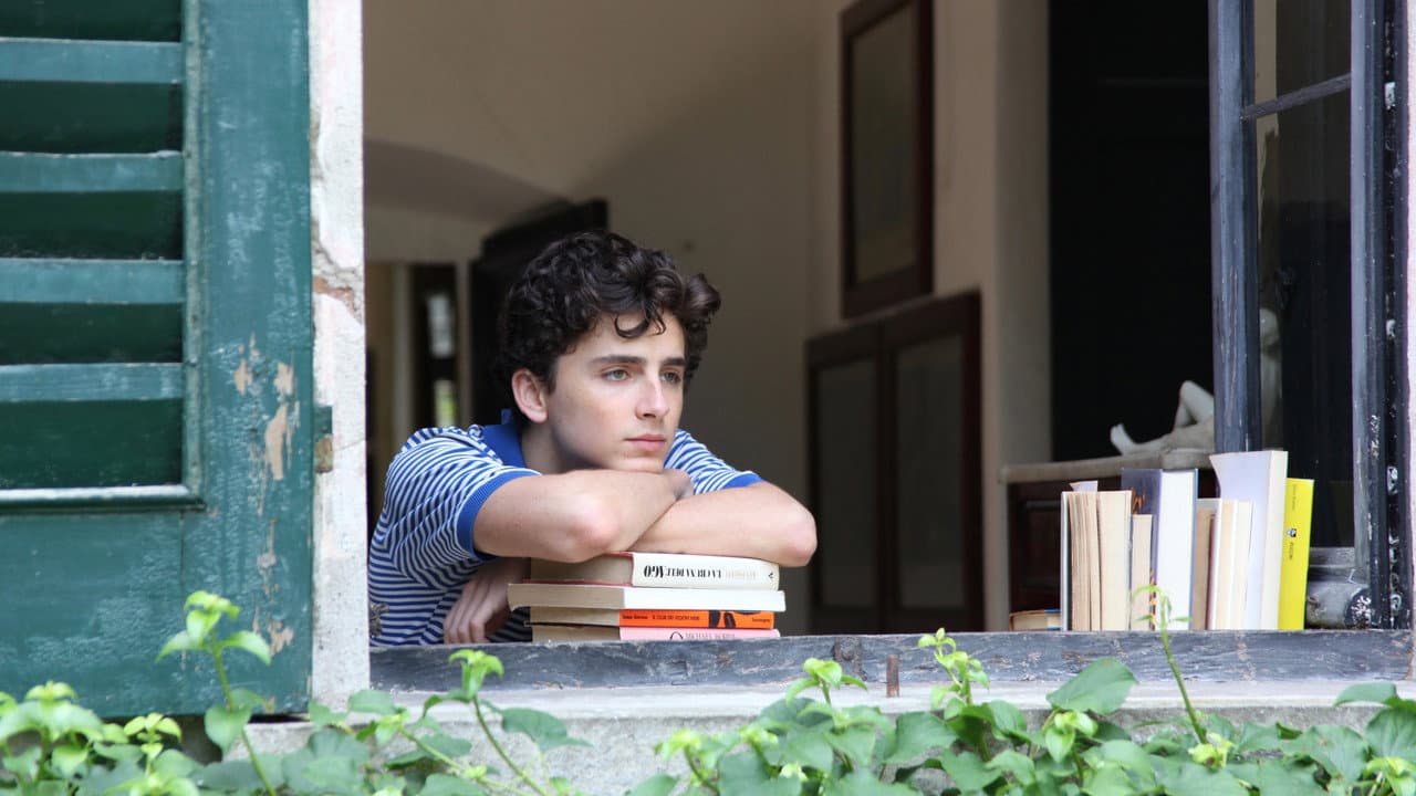 Call Me by Your Name Movie Review