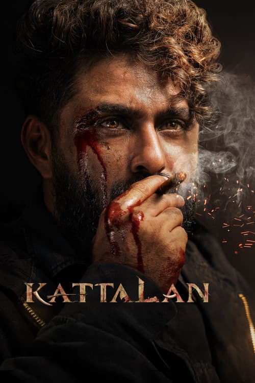 Kattalan kinoteatrlarda