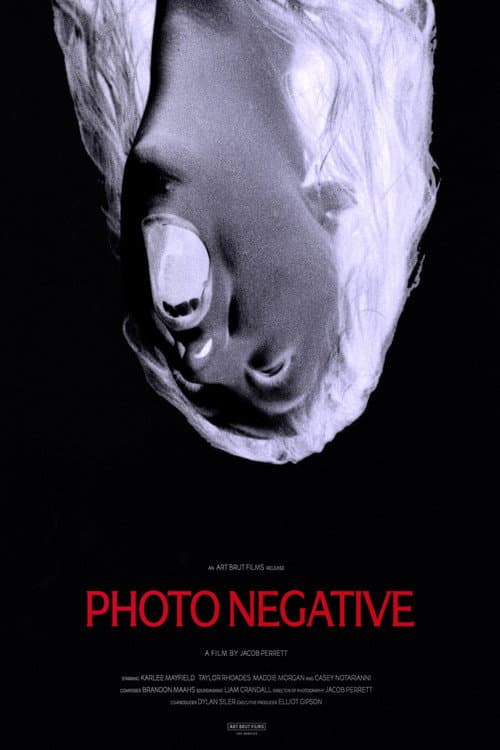 Photo Negative: A Dark Descent